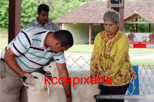 Clique sobre a foto para fechar